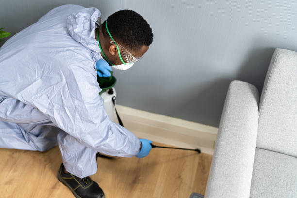 Best Bed Bug Extermination  in Borrego Springs, CA